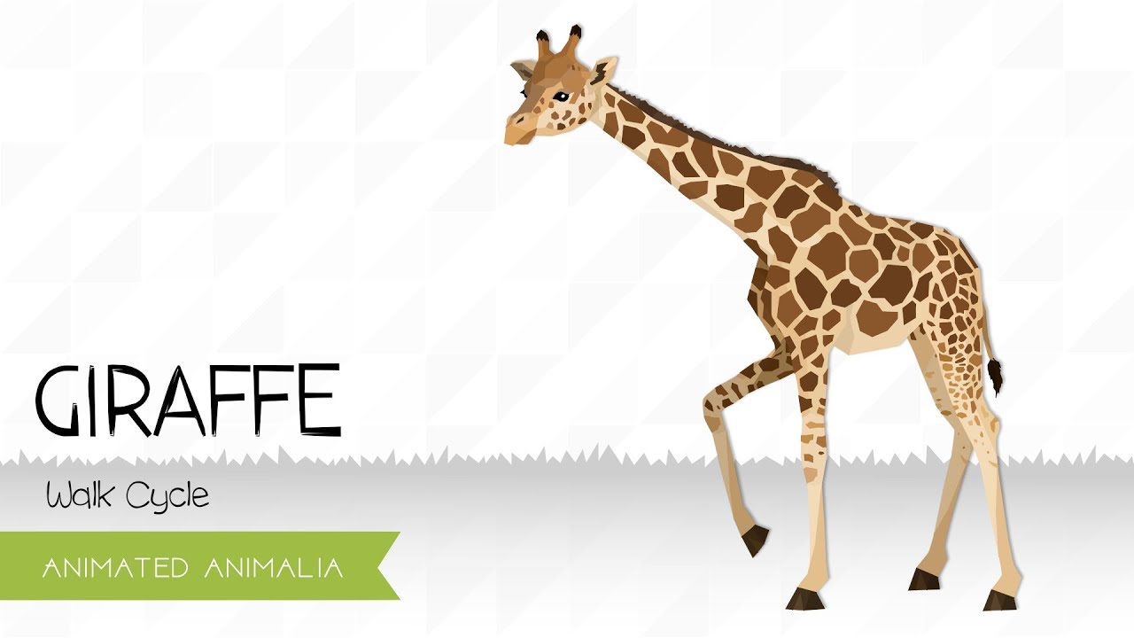 Animated Animalia: Giraffe Walk Cycle