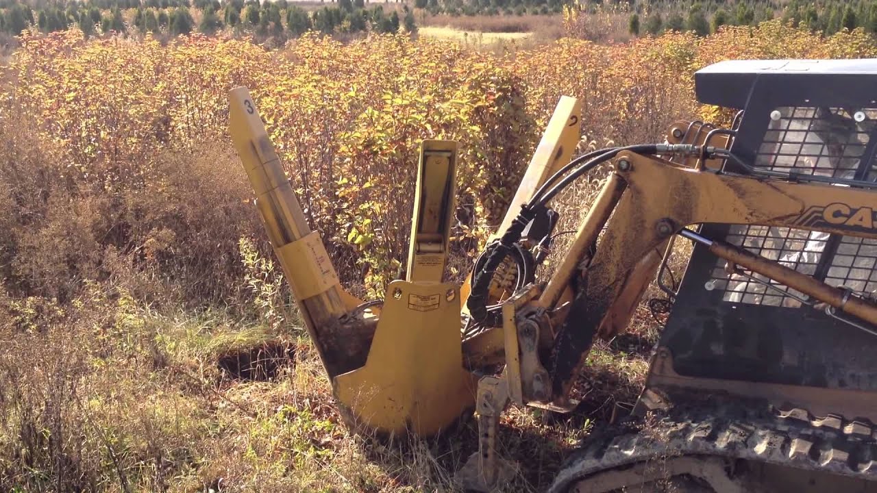Viburnum Digging Video - Wasco Nursery