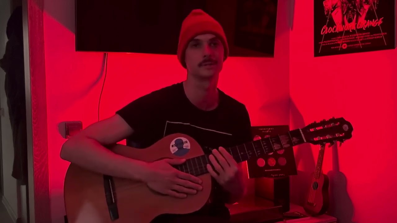 twenty one pilots - Stressed Out (Acoustic cover)
