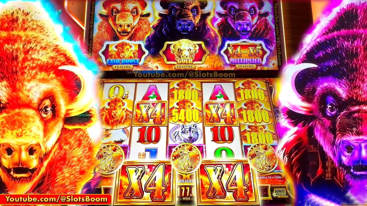 ★BUFFALO GOLD CASH COLLECTION ★ BIG BONUS!!! X4 X4 X4 WILDS! Aristocrat Slot Machine at Casino LIVE