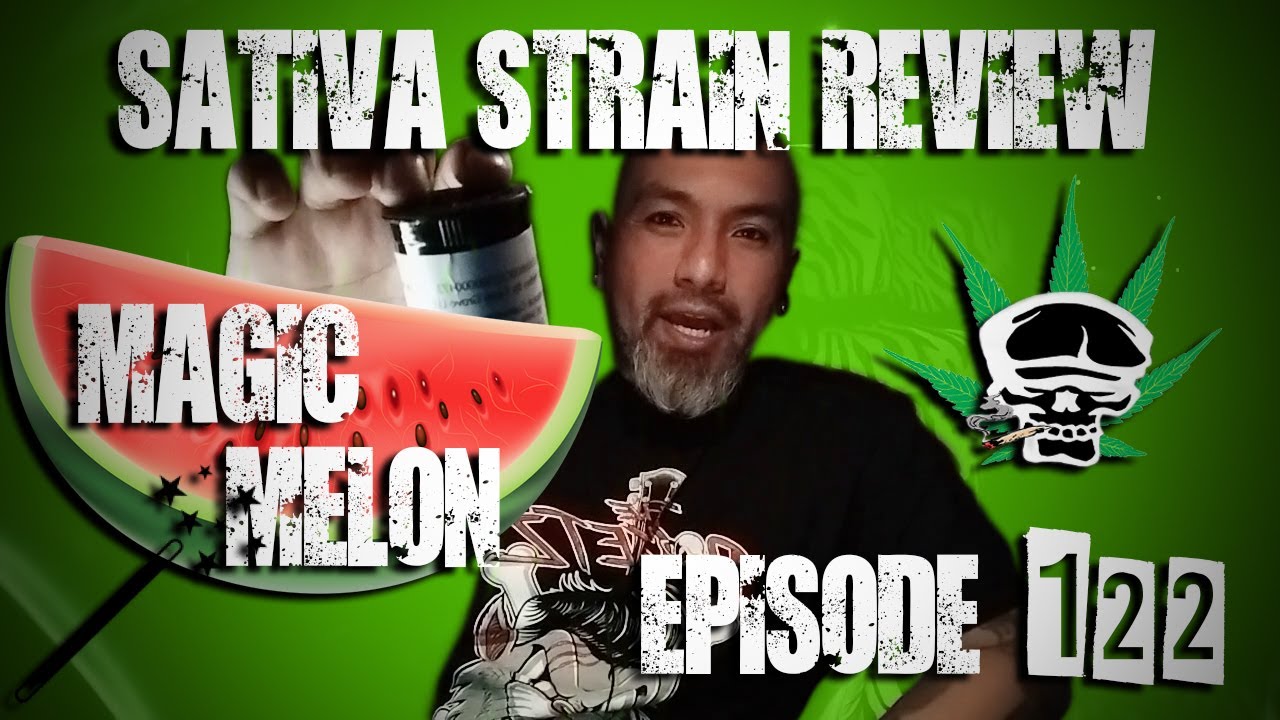 Sativa Strain Review- Magic Melon
