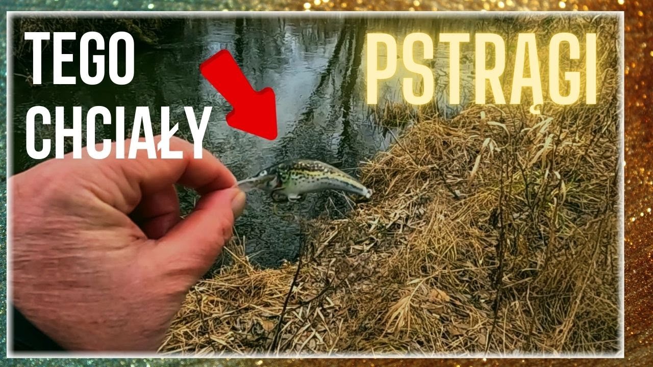 Pstrągi! Jak na luty było zaje... Luty 2025 #fishing #wędkarstwo #trout #winter #winterfishing