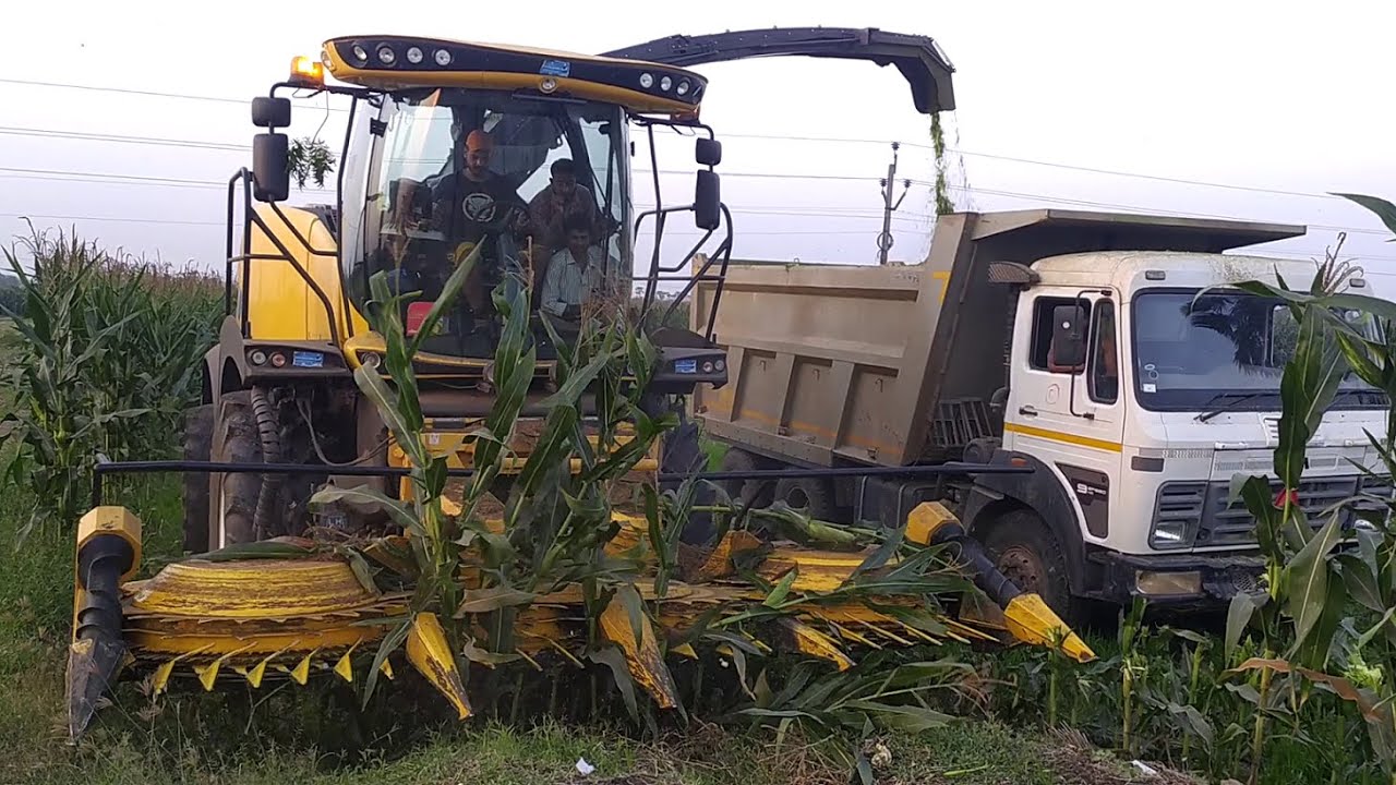 సైలేజీ తయారీ | Conversion of Fodder to Silage | Subsidized Sangam Dairy Silage | AgriTech Telugu