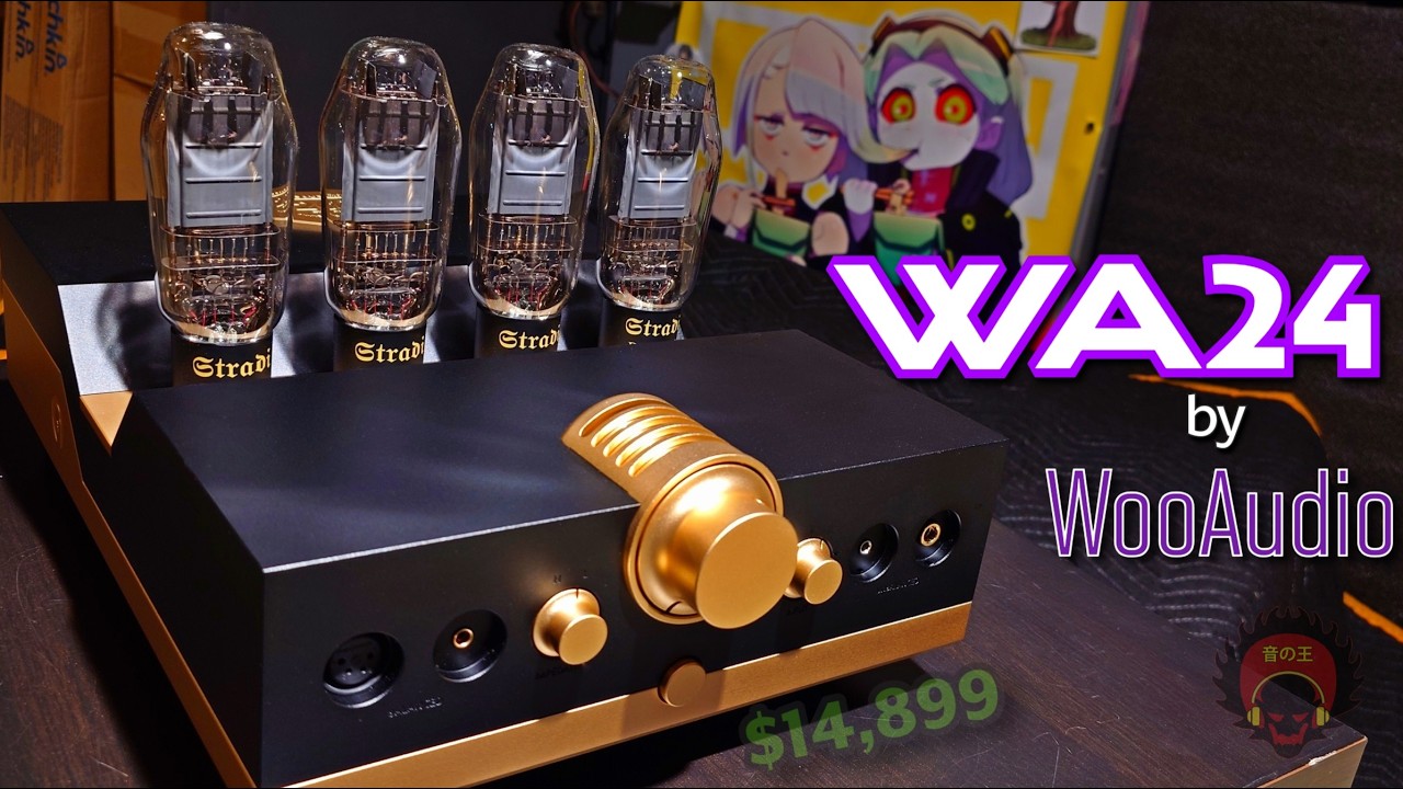 The Lamborghini of Tube Amps \\ Woo Audio WA24 💎💎💎💎💎💎💎💎💎💎💎💎💎💎