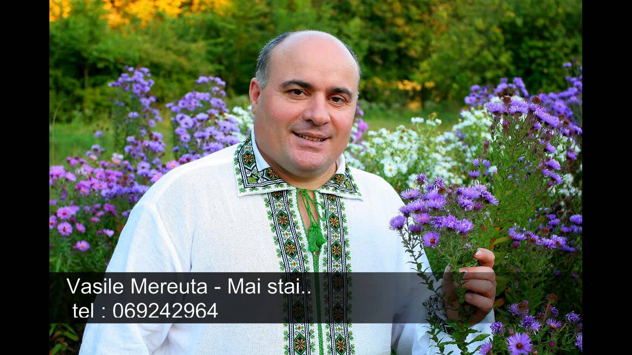 Vasile Mereuta - Mai stai