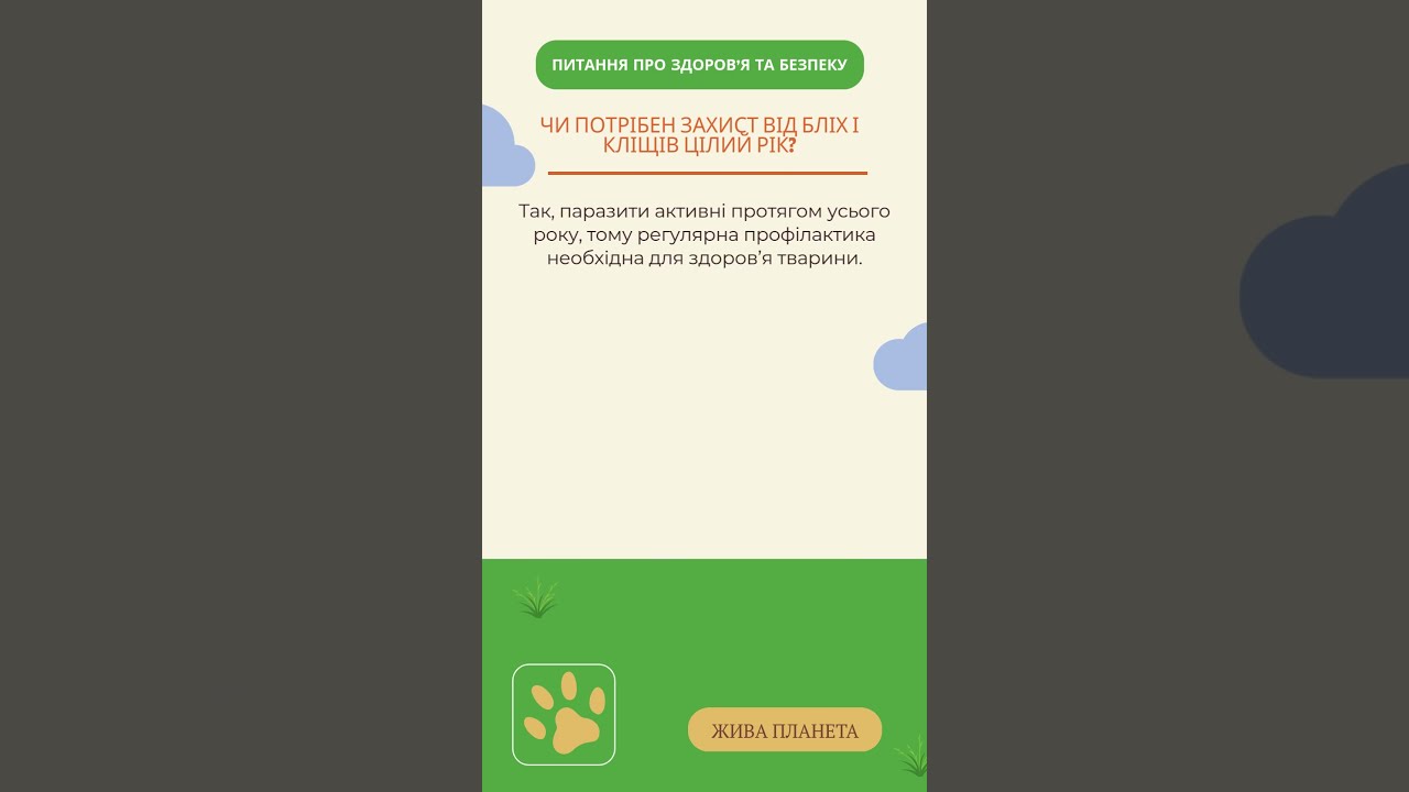 #ЗдоровяУлюбленця #PetCareTips #PetAdvice #DogCare #CatCare #PetParenting #HealthyPets