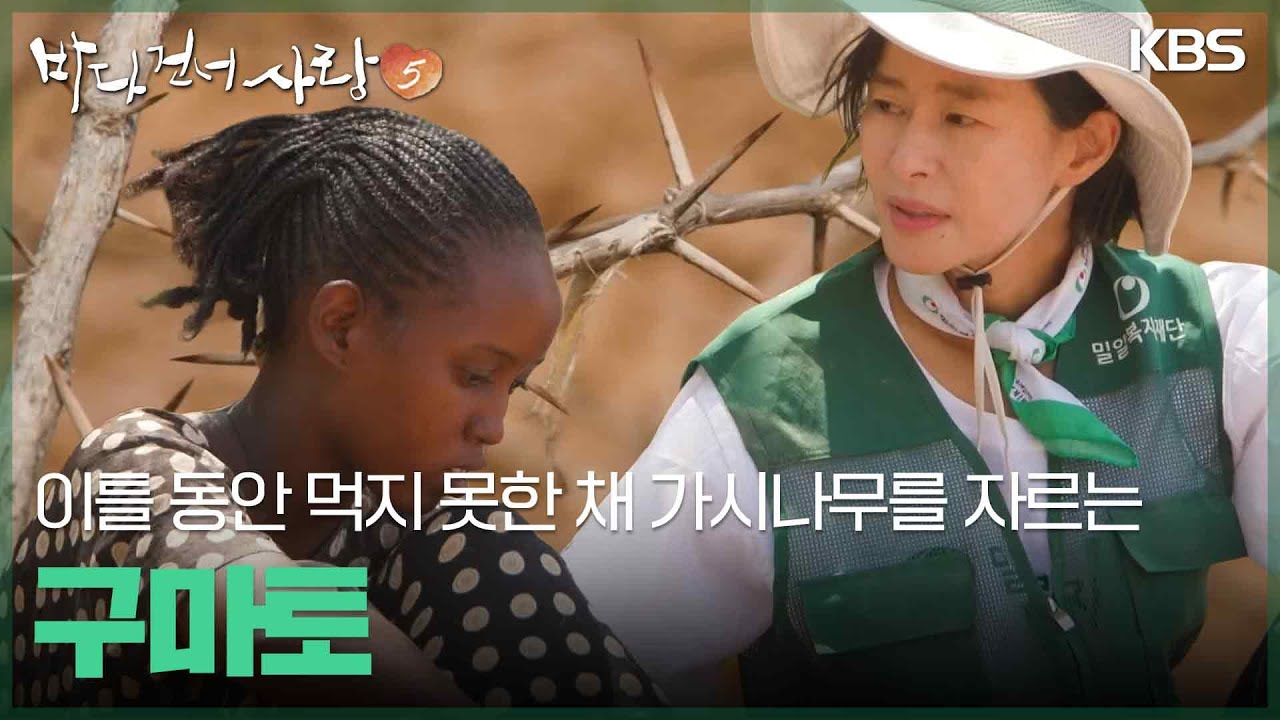 이틀 동안 아무것도 먹지 못한 채 가시나무를 자르는 구마토 [바다 건너 사랑 5] | KBS 260208 방송