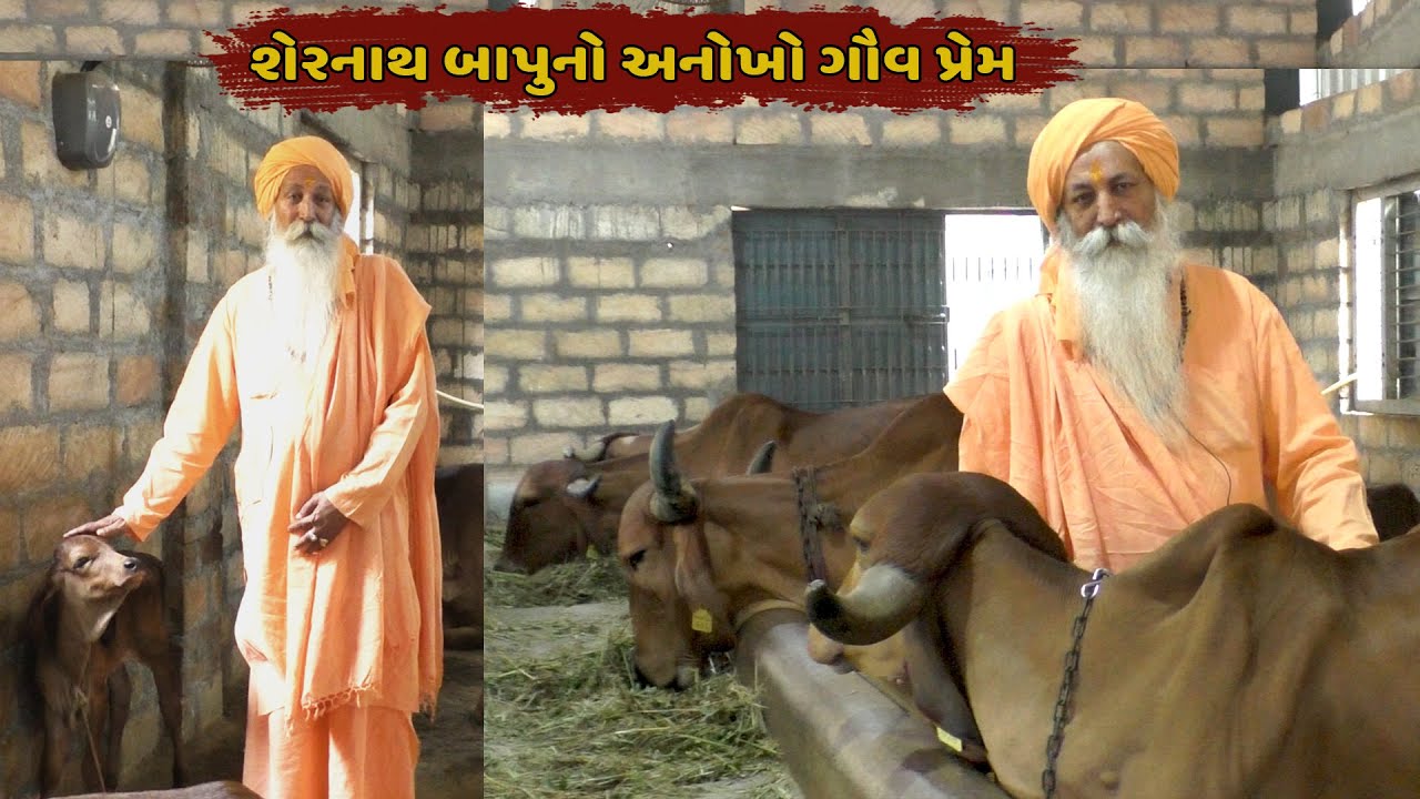 શ્રી શેરનાથ બાપુ એ આશ્રમ ની ગૌશાળા અને અખંડ ધુણા ના દર્શન કરાવ્યા -Shree Gorakshnath Ashram