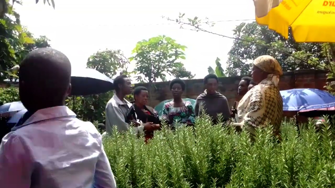 Ababyeyi b itorero rya zone 