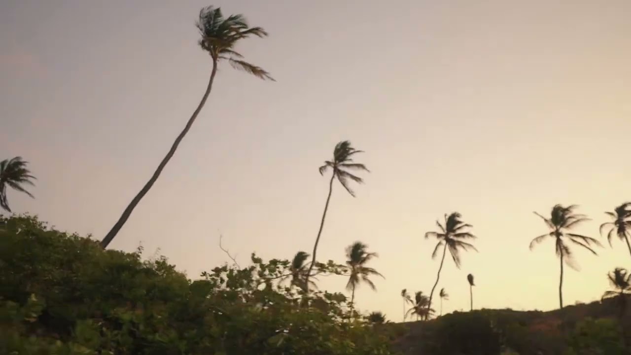 Clipe &ldquo;Forr&oacute; Praieiro&rdquo; de Adelson Viana