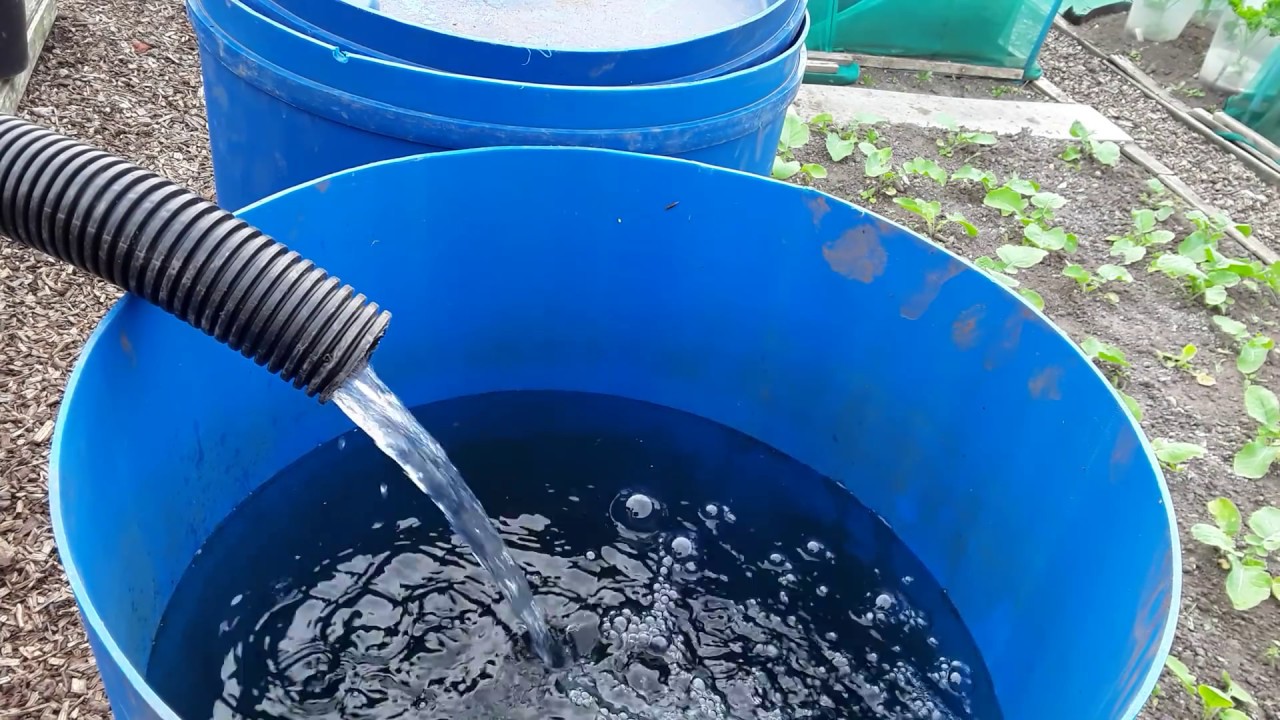 Review Of The Two 12v Water Pumps I Am Using Around Both Allotments & A Quick Look Around (392)