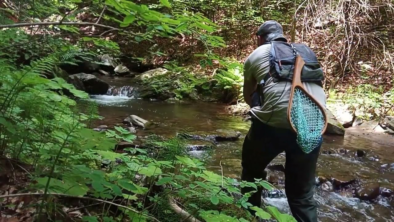 Риболов на суха муха в разгара на сезона(Dry fly fishing in the summer)