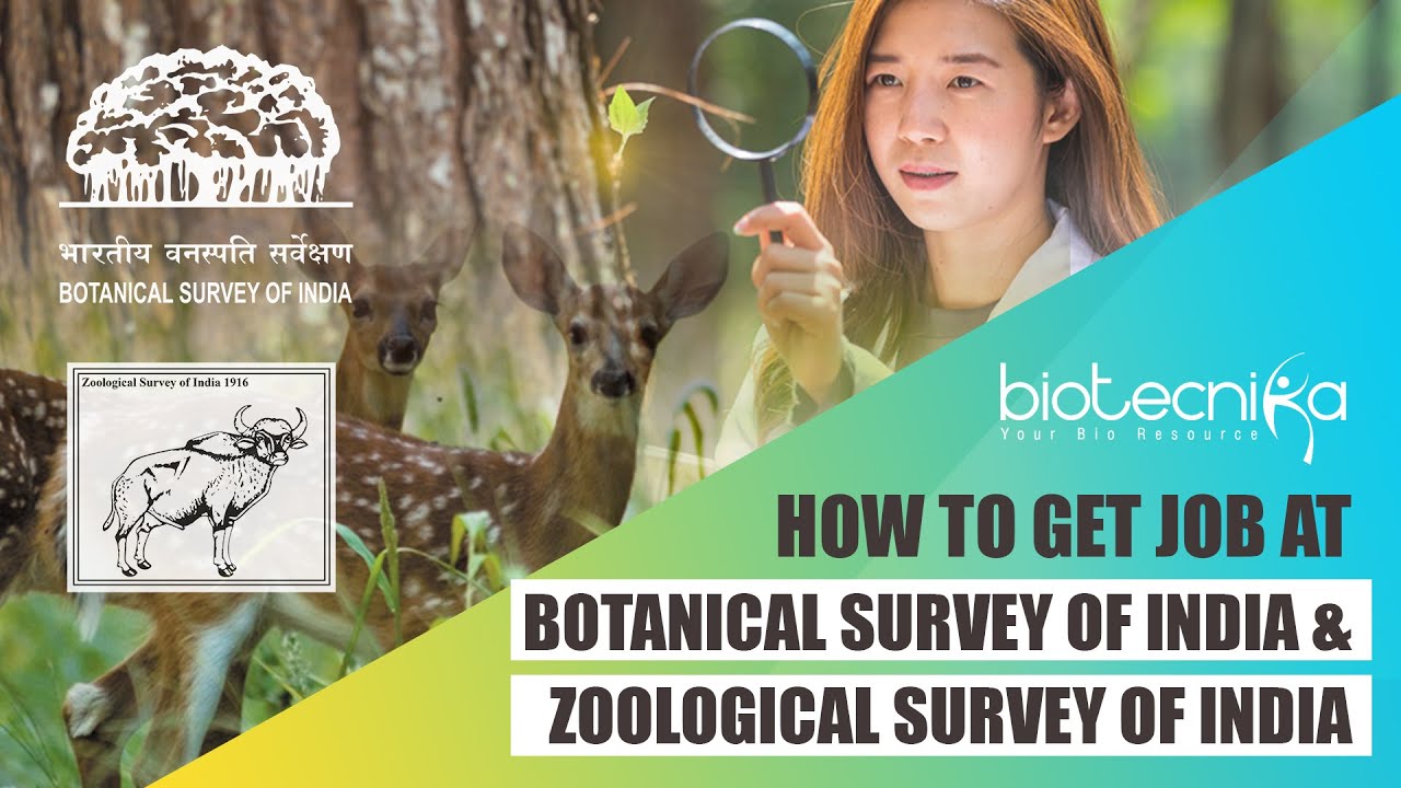 How To Get Job at Botanical Survey Of India & Zoological Survey of India?