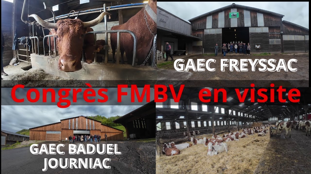 Congrès FMBV (Fédération Française des Marchés de Bétail Vif) au Cadran de Mauriac (15) en visite