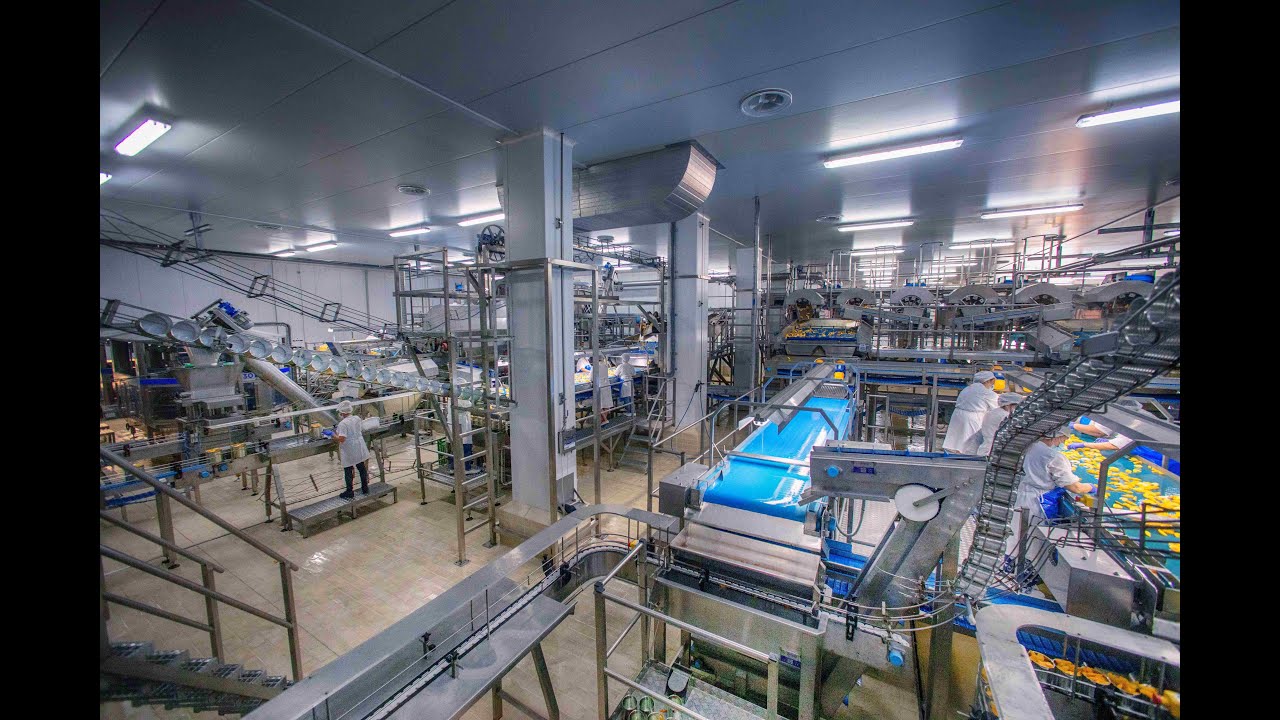 PEACH PROCESSING LINE - IOSIFIDIS GROUP