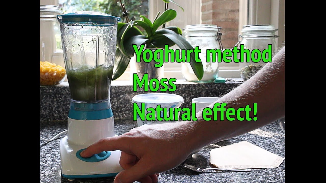 Dry Start Method Aquarium - How to grow aquarium moss