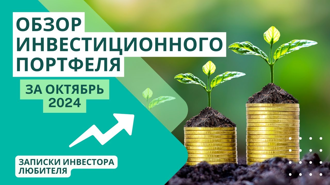 My portfolio update on October 2024