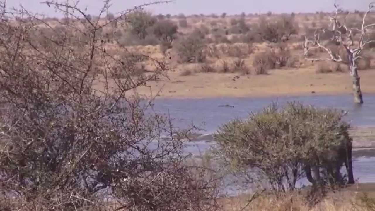 Kruger National Park BALULE