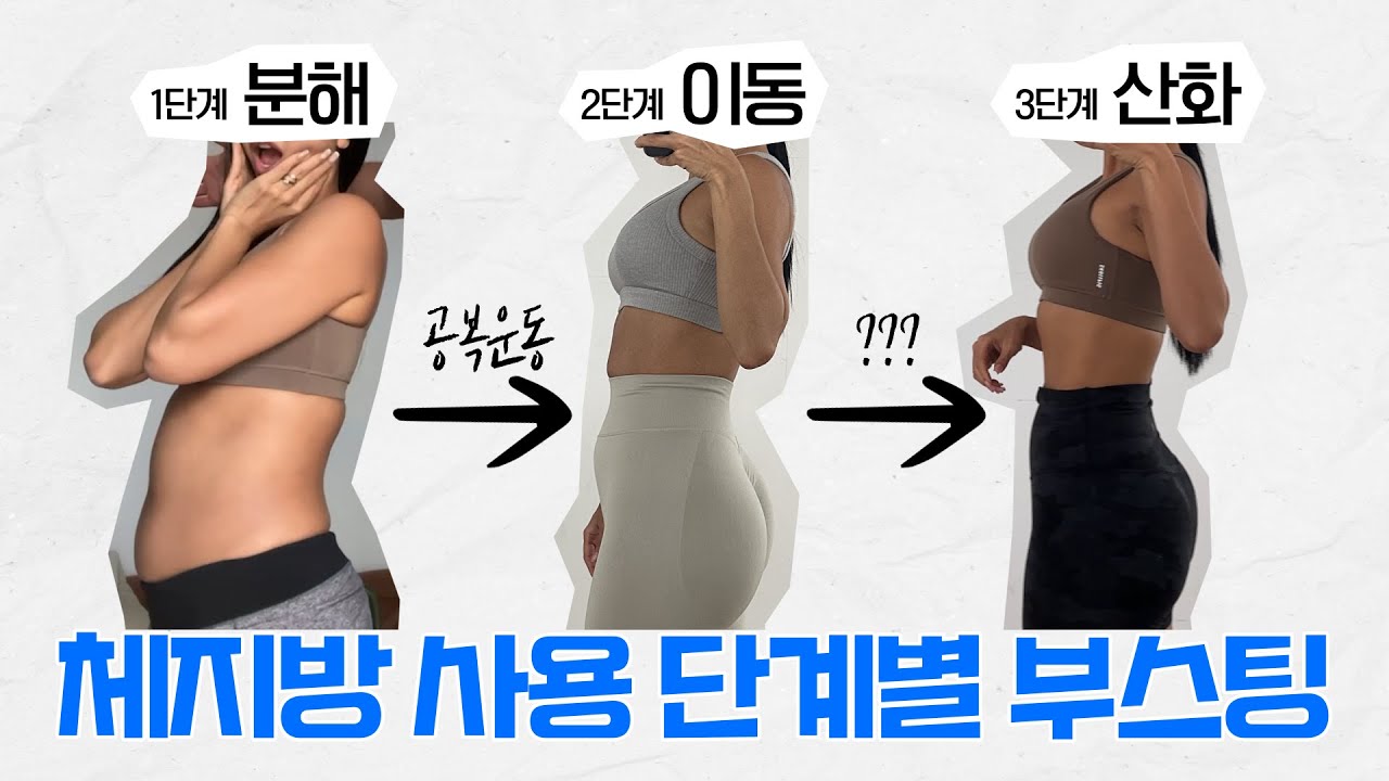 체지방 잘 쓰는 환경 만드는 법 (단계별 부스팅 방법)