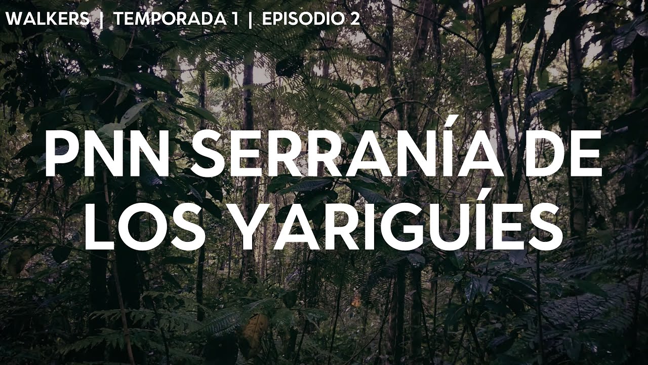 Walkers | Temporada 1 | Episodio 2 - PNN Serranía de los Yariguíes