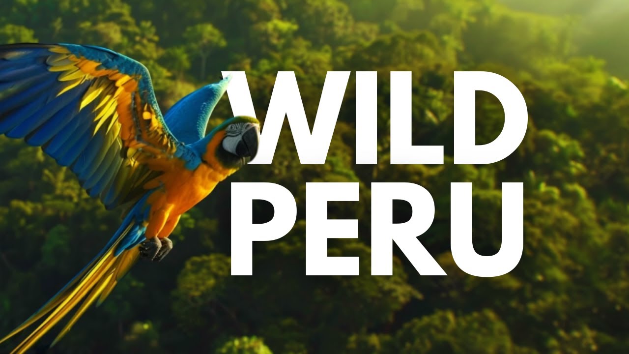 PERU - GUARDIANS OF THE ANDES AND THE FOREST | Full Documentary