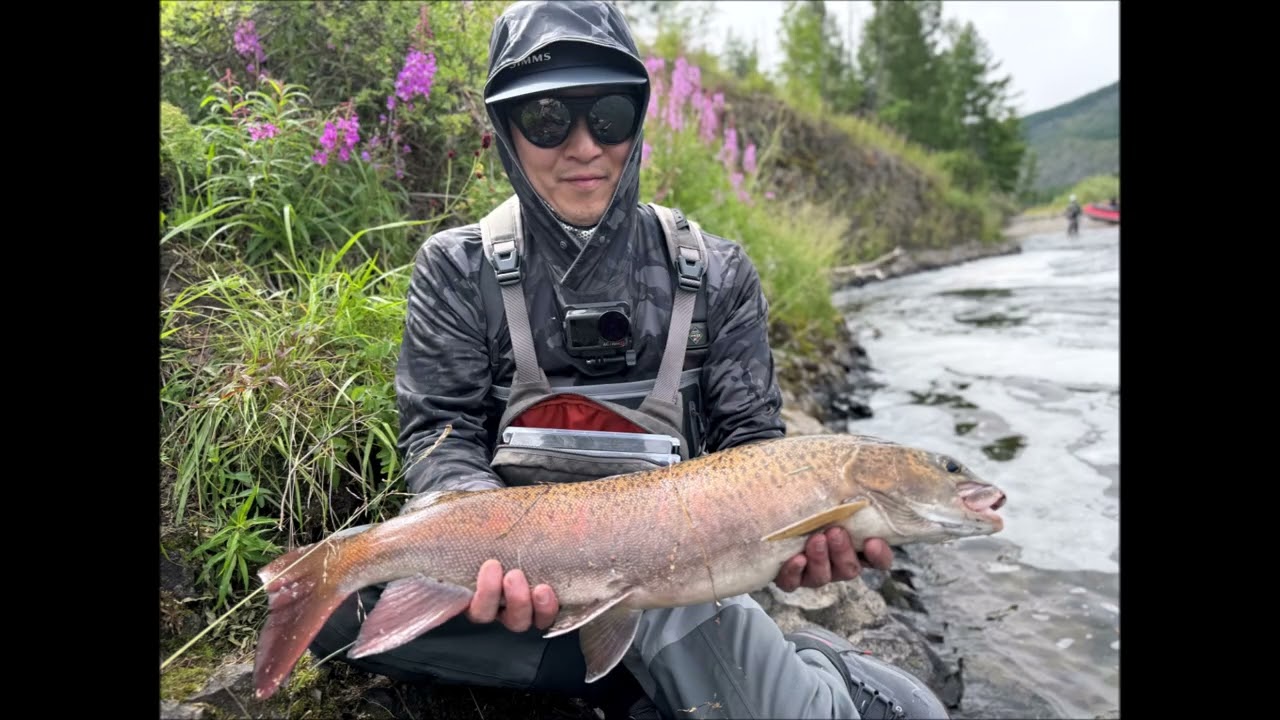 2025 몽골 타이멘 - Mongolian Taimen fishing
