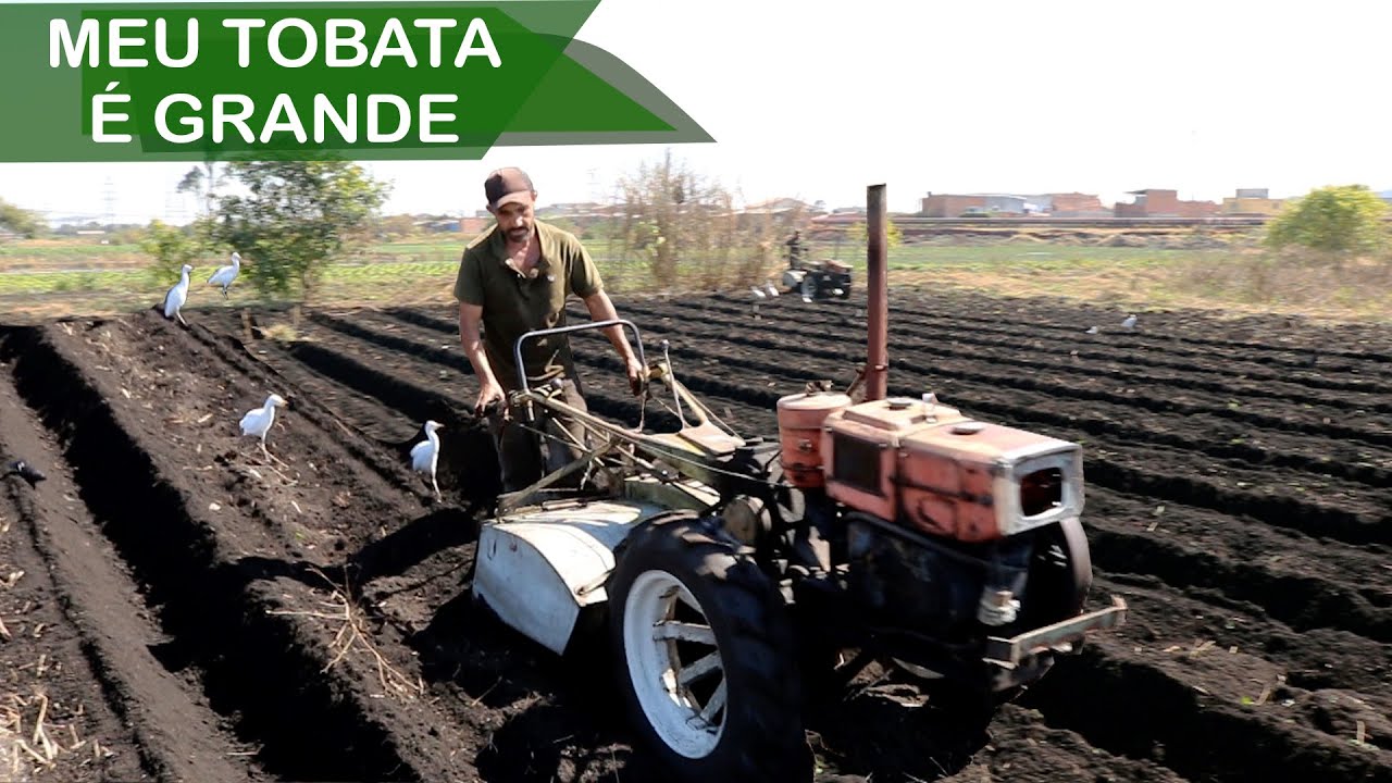 PILOTO DE TOBATA A 33 ANOS | NEZÃO DO TOBATA