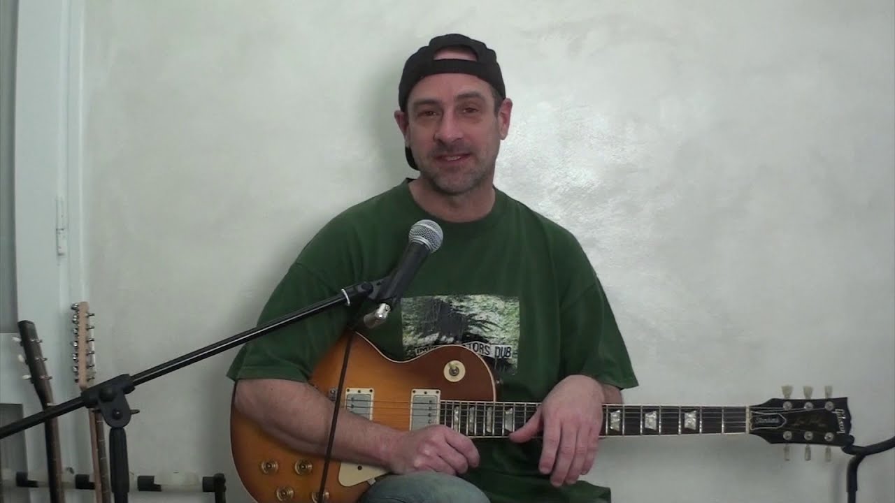 LOOPER & BLUES - zz top, robert johnson, bb king - fly guitars