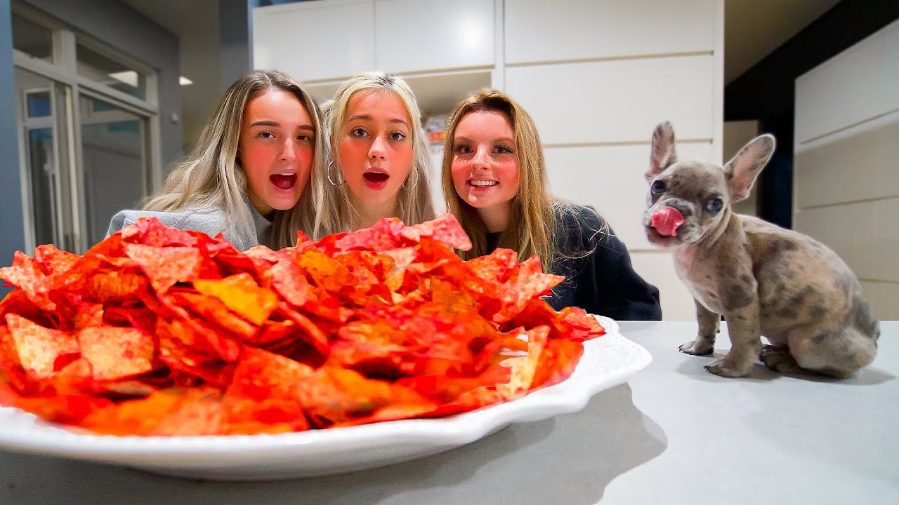 First To Finish Spicy Doritos Wins PUPPY!