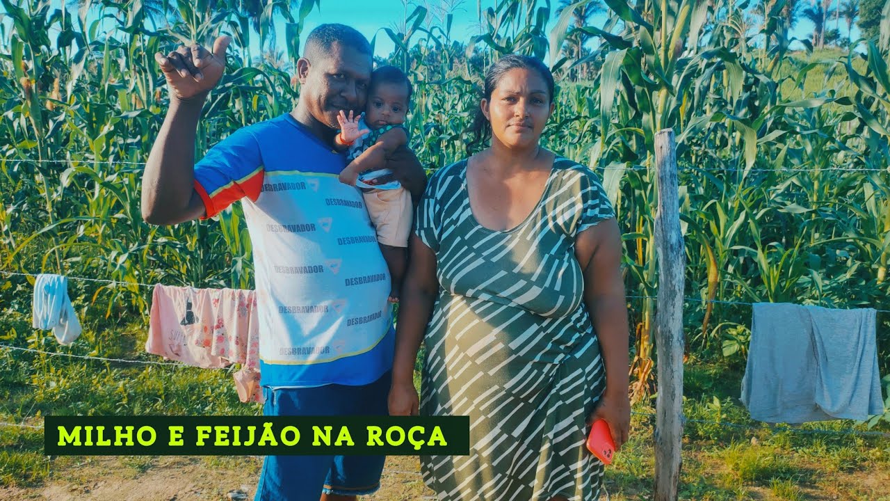 FRANCISCO plantou feijão e milho Veja como está a sua roça, quem planta colhe.