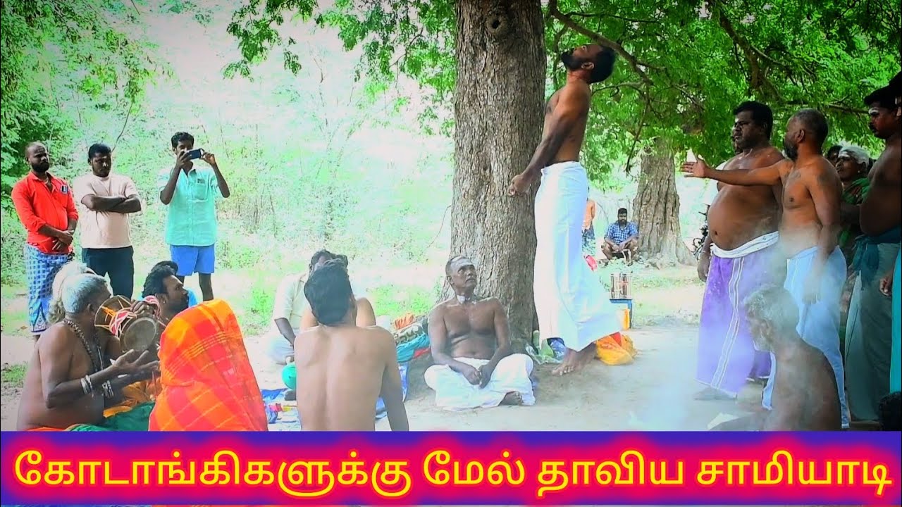 Murugan Kodangi