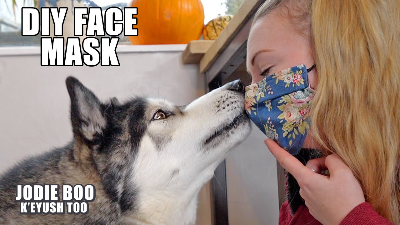 Face Masks Don’t Protect Against Husky Nose Boops!