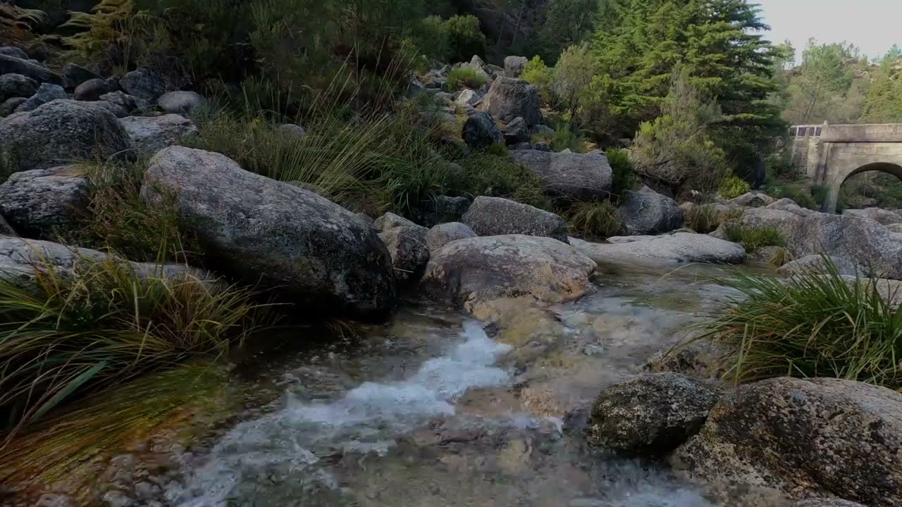 Strong River Sounds with Birds (2 Hours) | Nature Ambience for Study & Concentration