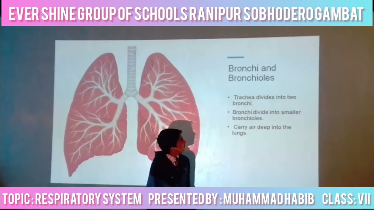 Ever Shine Group of H/Sec: Schools Sobhodero Gambat Ranipur
