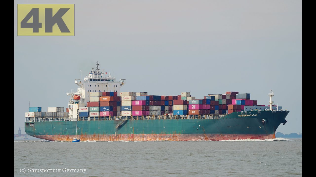 CMA CGM MANTA RAY - Shipspotting Germany 🇩🇪 IMO 9322499 - River Elbe near City Otterndorf - 4K VIDEO