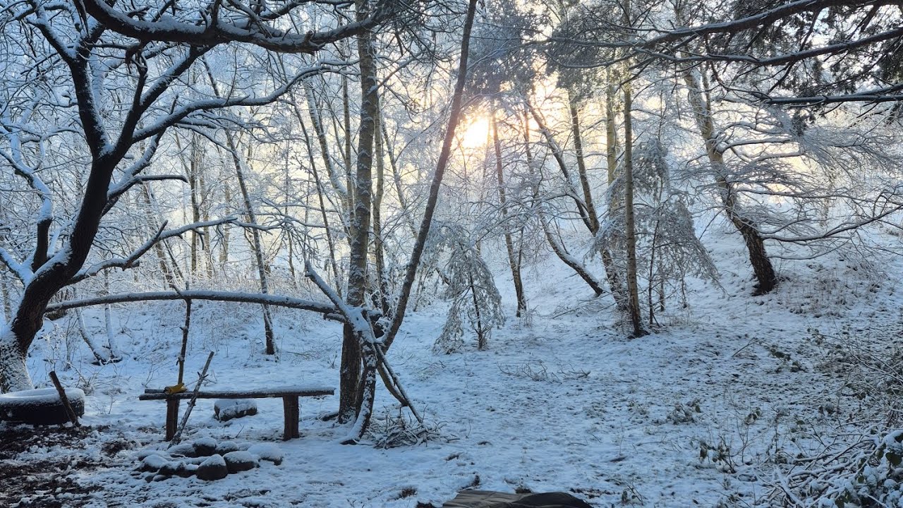 24h Biwak im Schnee/ Abbruch #wildcamping #outdoor #bushcraft #germany #overnighter 