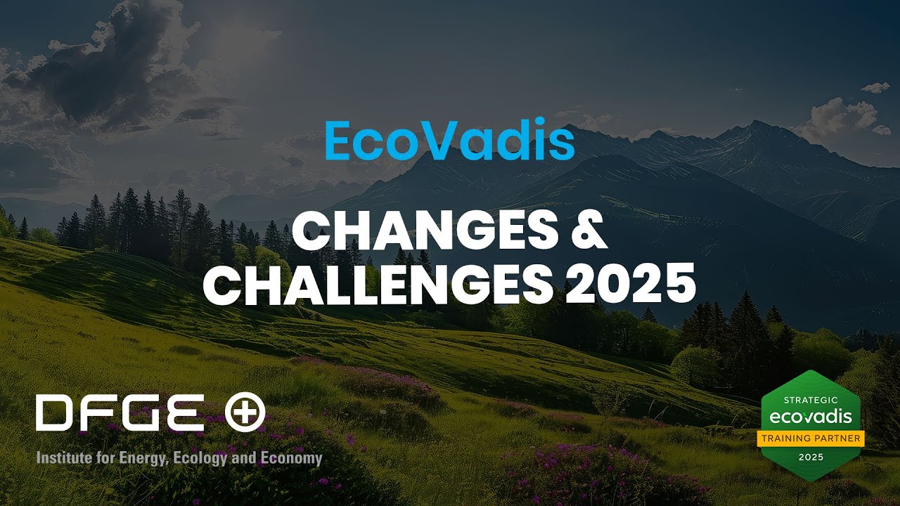 DFGE | EcoVadis: Changes & Challenges in 2025