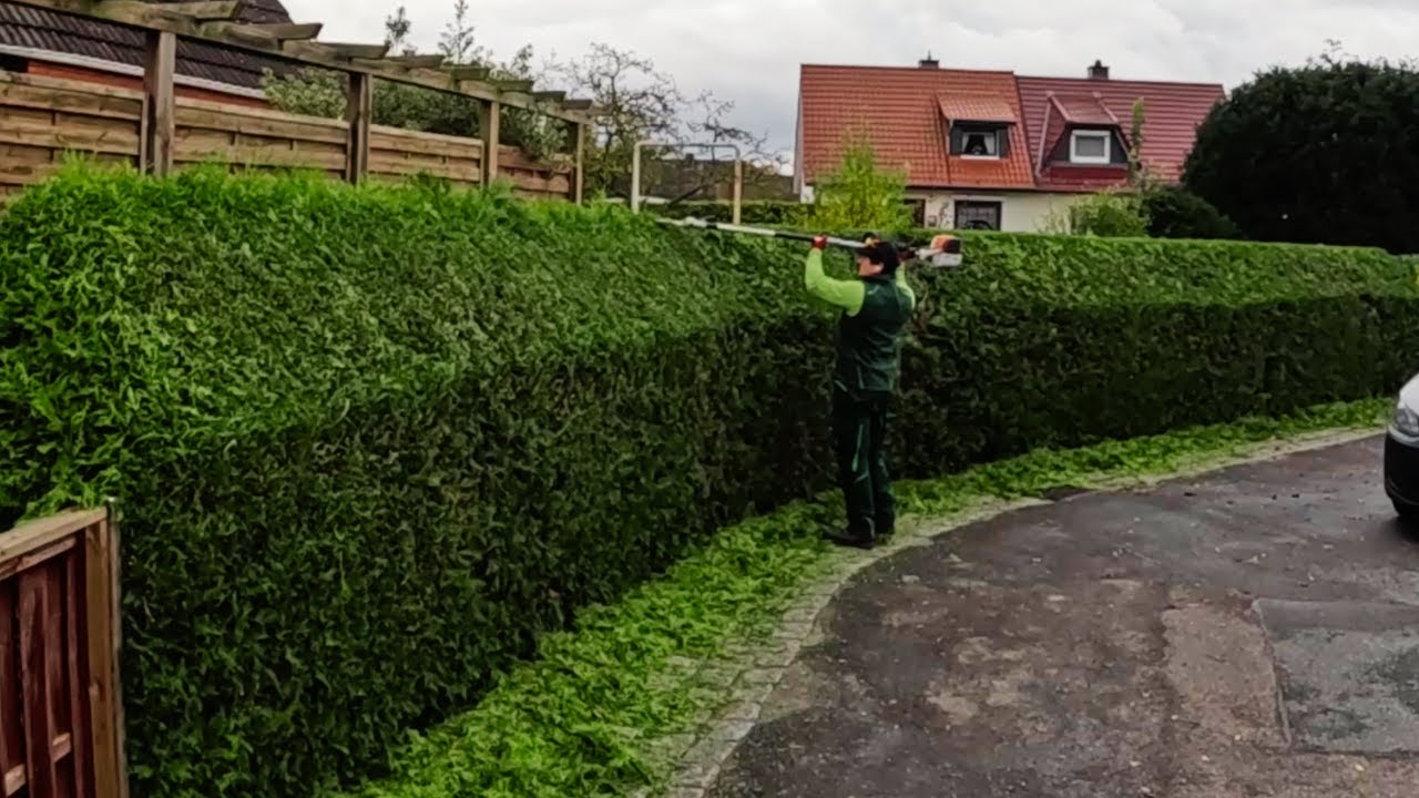 Hecken so GERADE die KUNDIN dachte ich benutze eine WASSERWAAGE ! Das BESTE Kompliment Hedge Cutting
