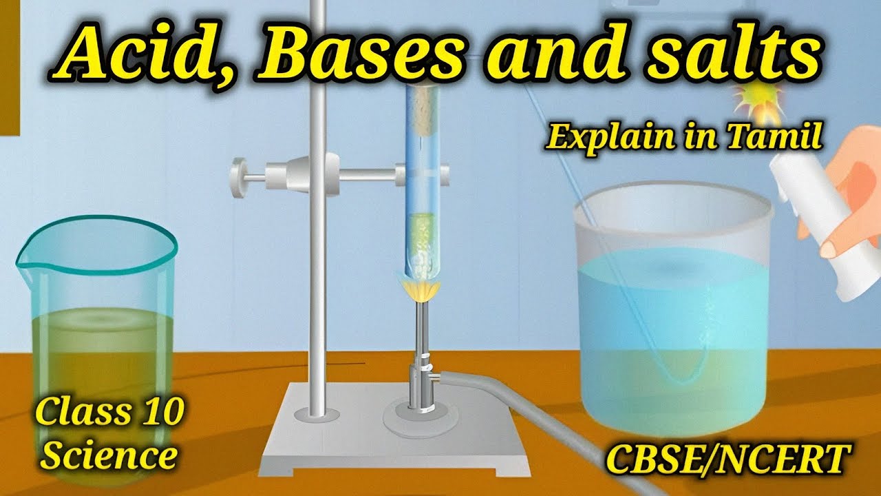 Acid, Bases and salts | Class 10 | Chemistry | CBSE NCERT | explain in Tamil