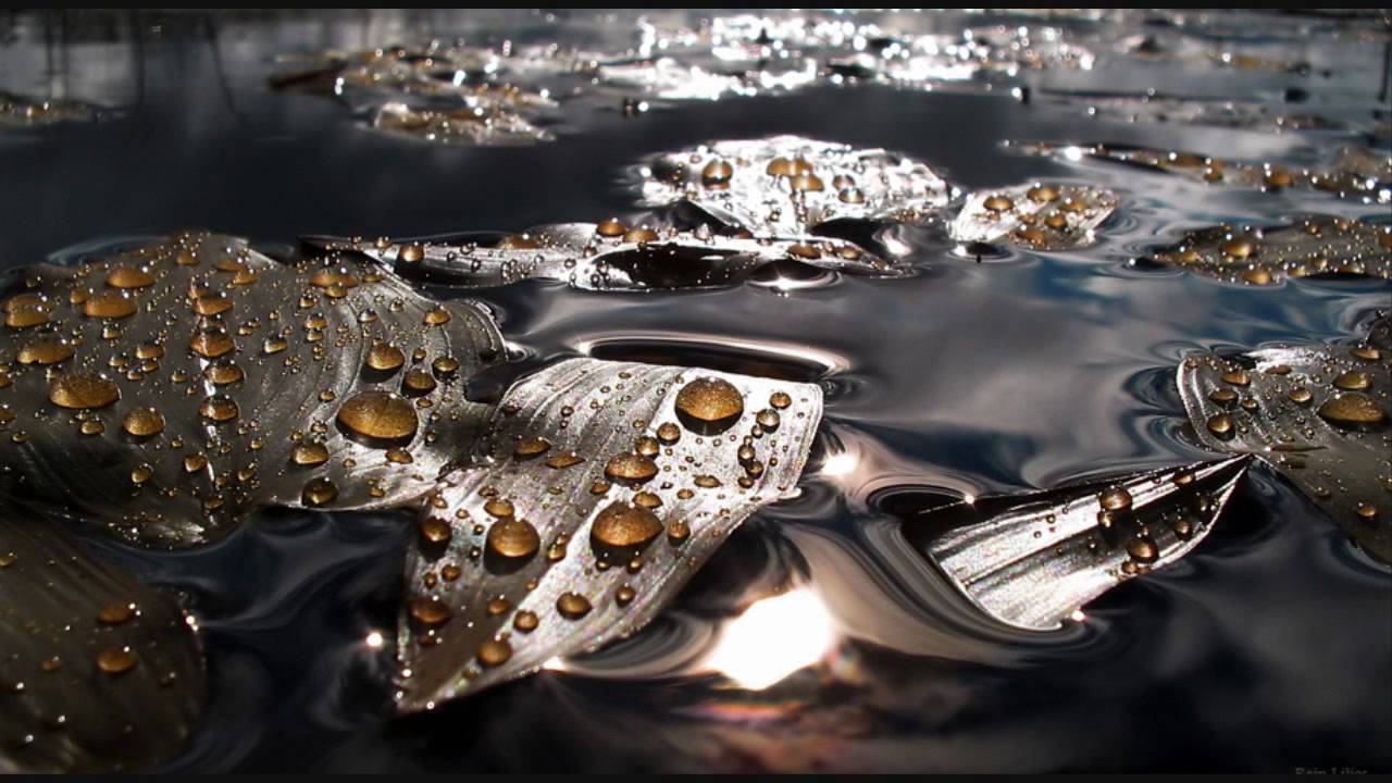 Nitin Sawhney - Charu Keshi Rain