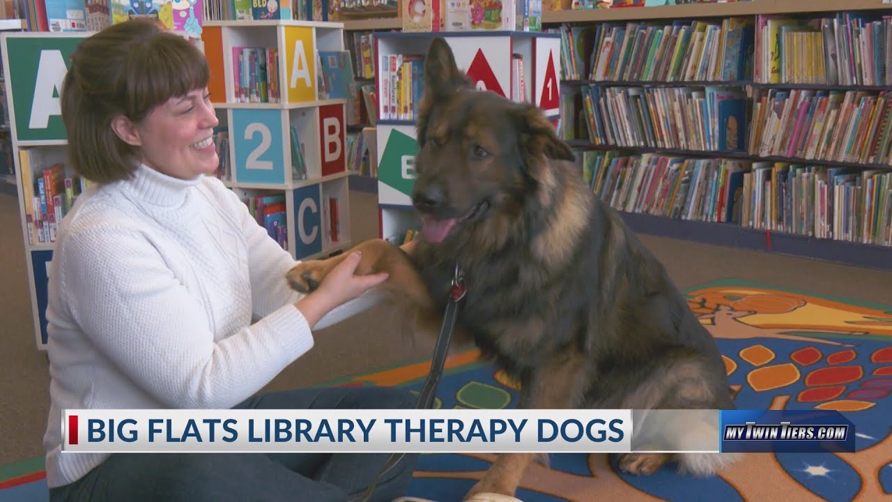 Big Flats Library introduces therapy dogs for emotional support