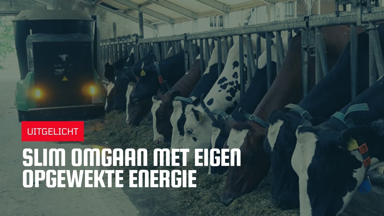 Uitgelicht | Slim omgaan met eigen opgewekte energie