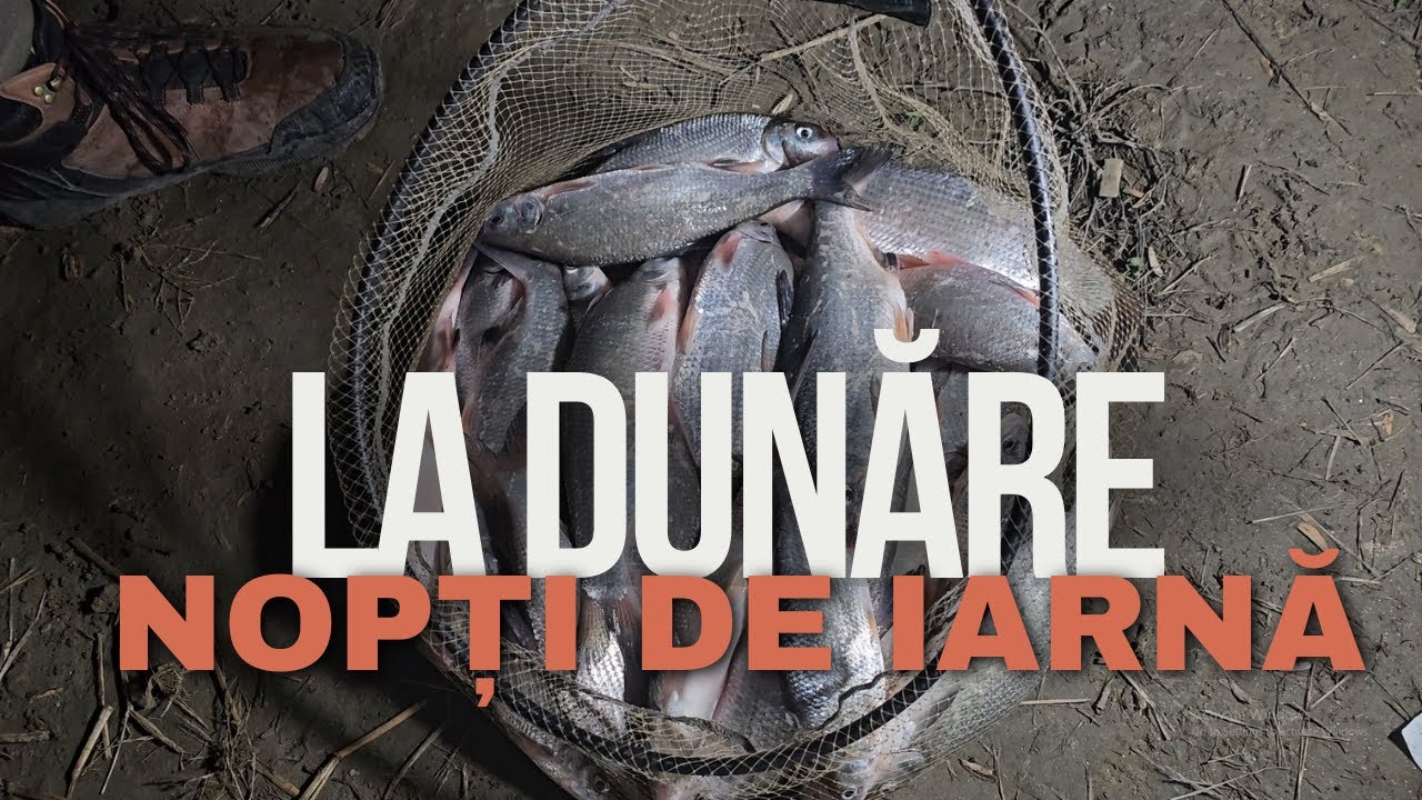 Pescuit EXTREM la -3 Grade în Miez de Noapte!