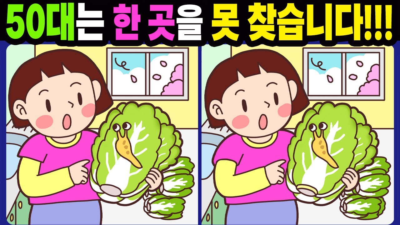 【다른그림찾기/치매예방】50대는 한 곳을 못 찾습니다!【틀린그림찾기/두뇌운동/숨은그림찾기/Find the Difference/치매예방퀴즈】908