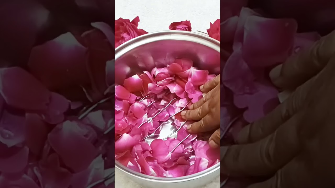 100% Pure Homemade Rose Water #rosewater #diyrosewater #beautyhacks #beauty #beautyface #rose