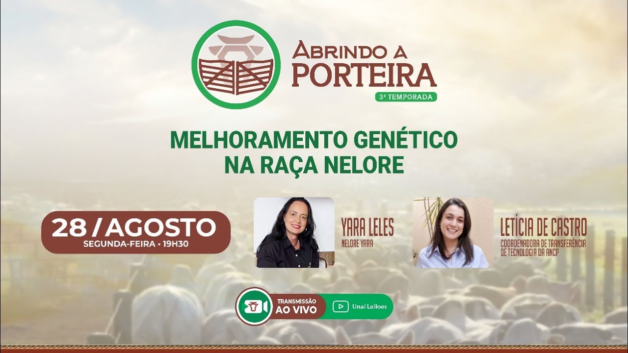 MELHORAMENTO GEN&Eacute;TICO NA RA&Ccedil;A NELORE - ABRINDO A PORTEIRA COM A UNA&Iacute; LEIL&Otilde;ES #103 - 28/08/2023
