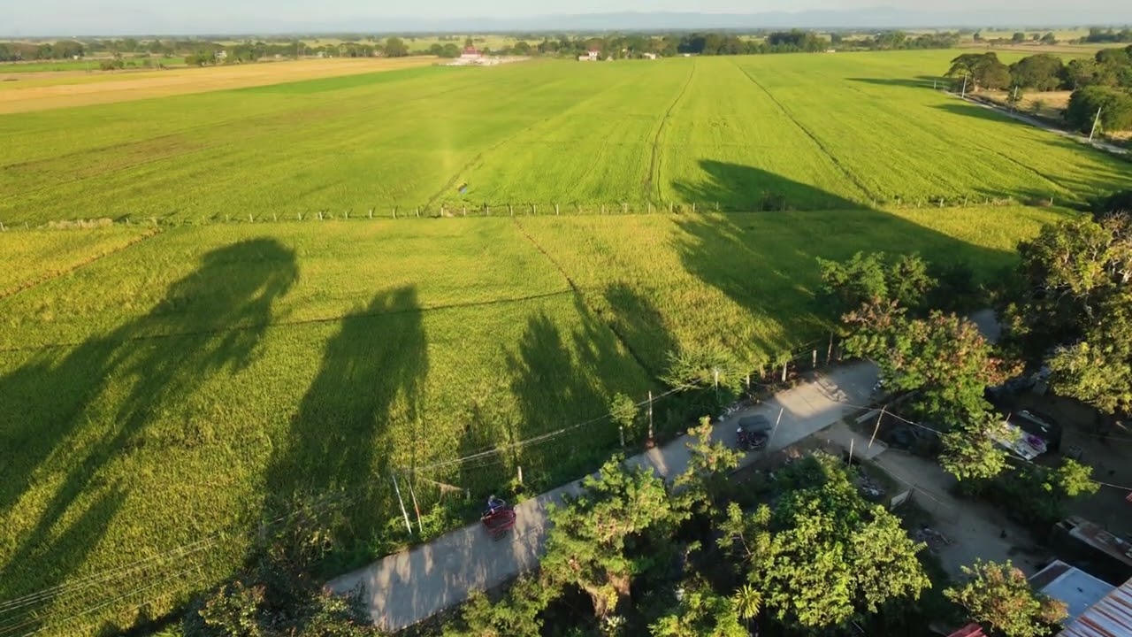 MADA - Full Site View with 360 deg