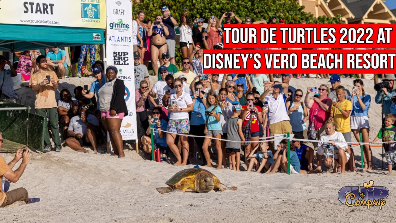 Tour de Turtles 2022 at Disney&rsquo;s Vero Beach Resort