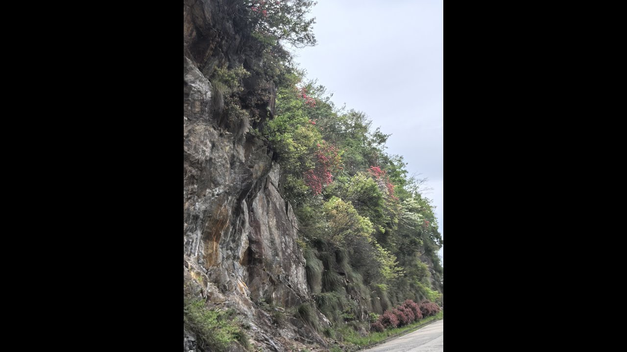 Chinese Mountain Roads   Anhui Cha Zi Ling
