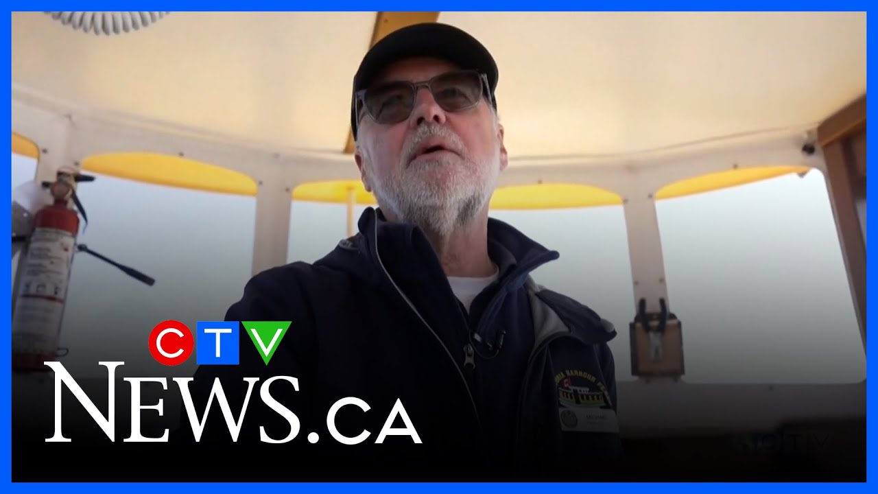 B.C. voters speak out on projected tight election race